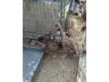 indicky-bezec-small-1