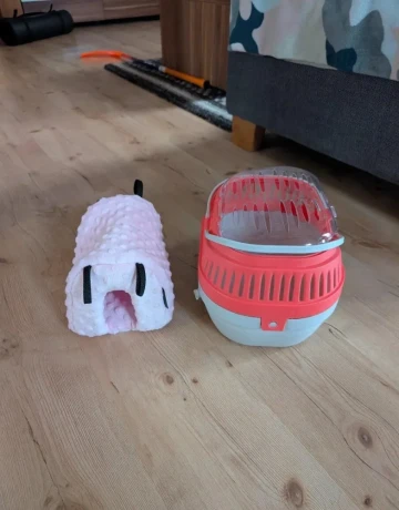 vakovevericky-samicky-big-2