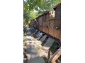predam-vcelstvo-ukoncenie-kariery-po-60-rokoch-leopoldov-small-1