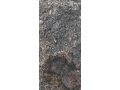 predam-mastalny-hnoj-small-1