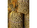 krmne-zemiaky-drobne-vhodne-aj-na-sadenie-small-2