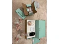 owlet-dream-duo-small-1