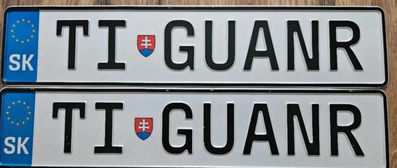predam-volitelnu-ecv-spz-big-3