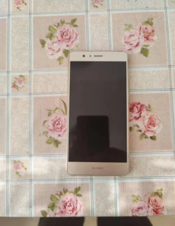 predam-huawei-p9lite-big-1
