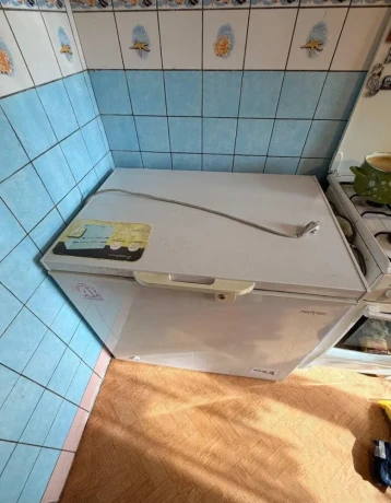 goddess-mraznicka-200l-big-0