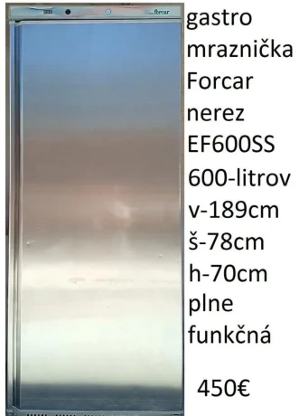 predam-velku-nerez-mraznicku-600-litrov-forcar-ef600ss-big-0