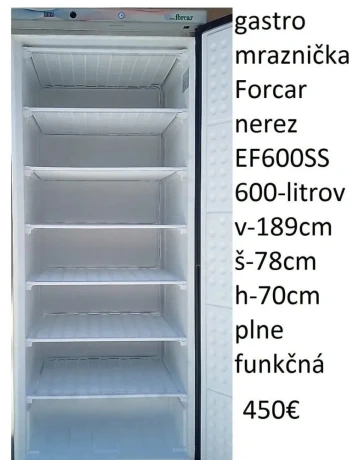 predam-velku-nerez-mraznicku-600-litrov-forcar-ef600ss-big-1