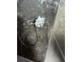amica-small-1