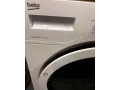 susicka-beko-small-3