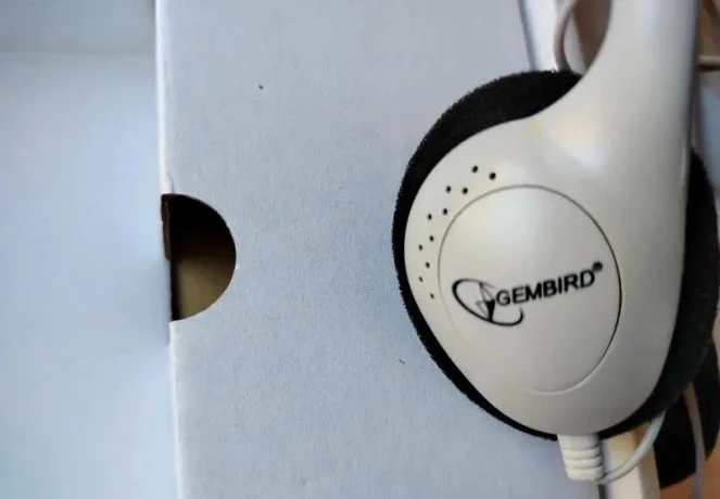 sluchatka-s-mikrofonom-big-2