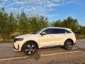 kia-sorento-16-t-gdi-hybrid-platinum-169kw-230hp-a6-small-0