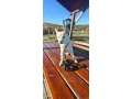 siba-inu-psik-small-4