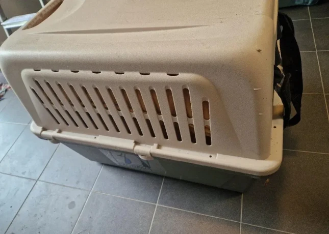 prepravny-box-ferplast-big-3