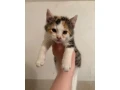 maciatka-na-darovanie-small-0