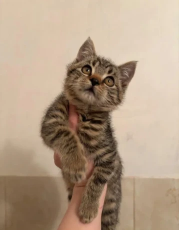 maciatka-na-darovanie-big-4