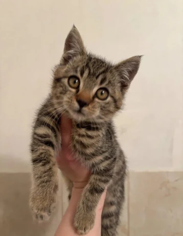 maciatka-na-darovanie-big-3