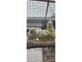 alexander-velky-small-0