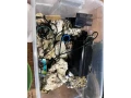 morske-akvarium-kamene-15-kg-odpenovac-tunze-small-0