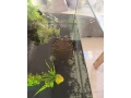 akvarium-so-skrinkou-a-korytnackou-small-3