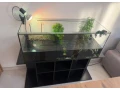 akvarium-so-skrinkou-a-korytnackou-small-2