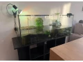akvarium-so-skrinkou-a-korytnackou-small-0