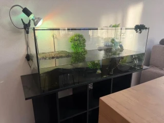 akvarium-so-skrinkou-a-korytnackou