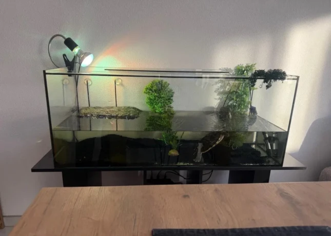akvarium-so-skrinkou-a-korytnackou-big-1