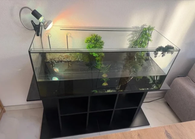 akvarium-so-skrinkou-a-korytnackou-big-2
