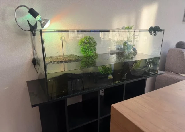 akvarium-so-skrinkou-a-korytnackou-big-0