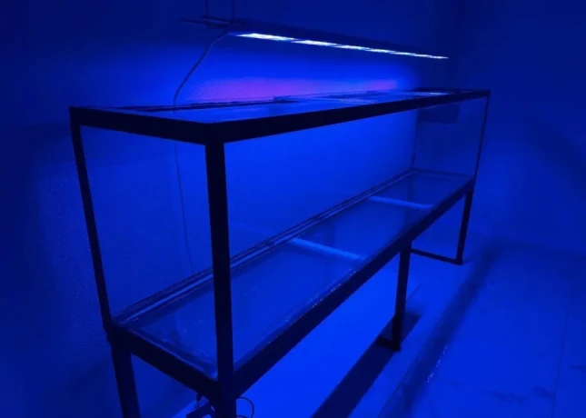 akvarium-big-1