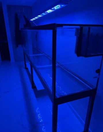 akvarium-big-2