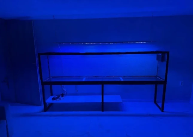akvarium-big-3