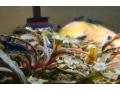 zarastene-optiwhite-akvarium-603035-komplet-small-2
