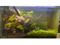 zarastene-optiwhite-akvarium-603035-komplet-small-0