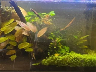 zarastene-optiwhite-akvarium-603035-komplet