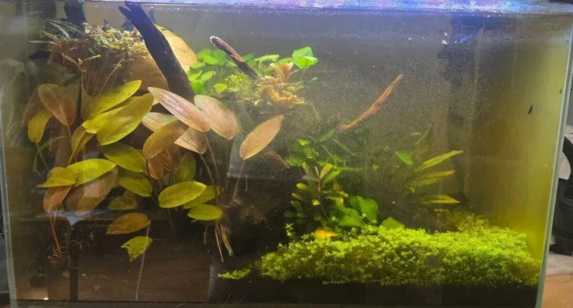zarastene-optiwhite-akvarium-603035-komplet-big-0
