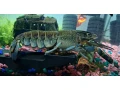 rak-modry-cherax-quadricarinatus-small-0