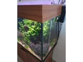 akvarium-juwel-rio-240-small-1