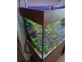 akvarium-juwel-rio-240-small-2