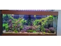 akvarium-juwel-rio-240-small-0