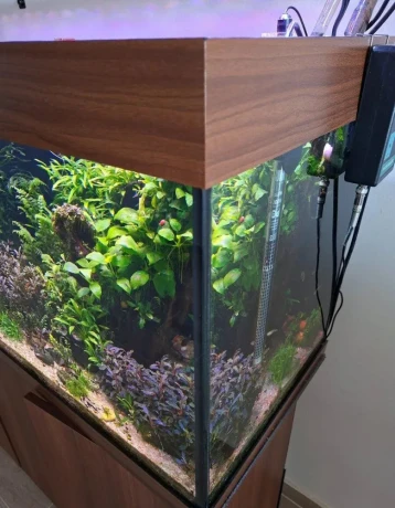 akvarium-juwel-rio-240-big-1