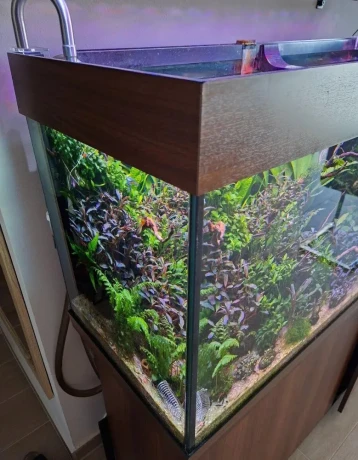 akvarium-juwel-rio-240-big-2