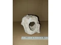 akva-dekoracia-kamen-1-small-0