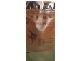 artemia-small-1