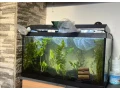 akvarium-60l-small-0