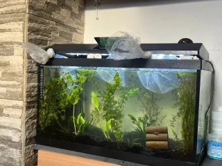 akvarium-60l