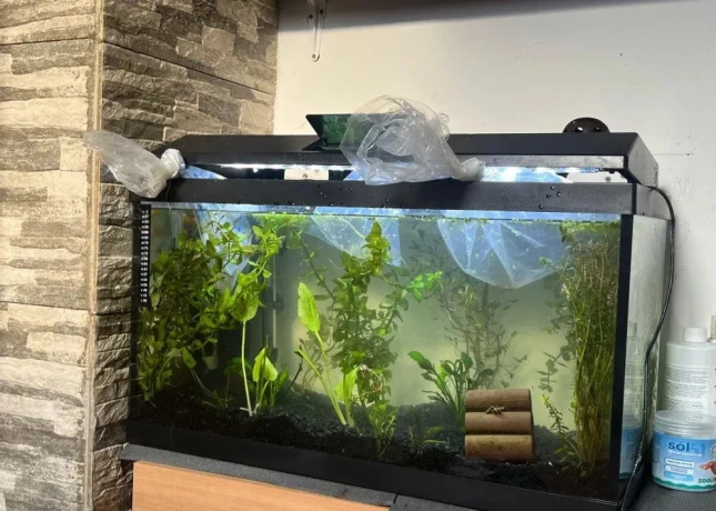 akvarium-60l-big-0