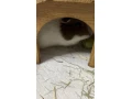 morca-aj-s-vybavou-small-1