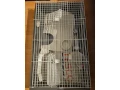 predam-klietku-pre-drobne-cicavce-small-1