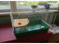 predam-klietku-pre-morca-morske-prasiatko-small-1
